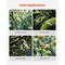 32-Inch Tree Lopper with Steel Blade 2-Inch Branch Cutting Non-Slip Handle Garden Pruning Tool